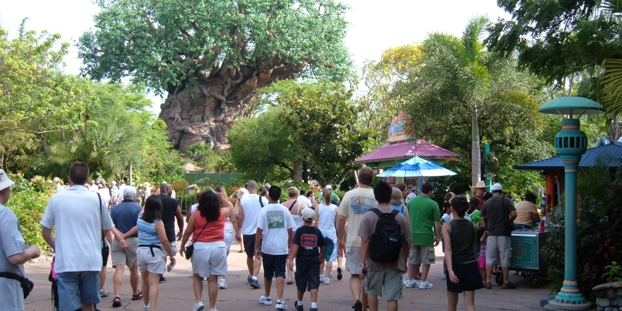 Disney's Animal Kingdom Theme Park