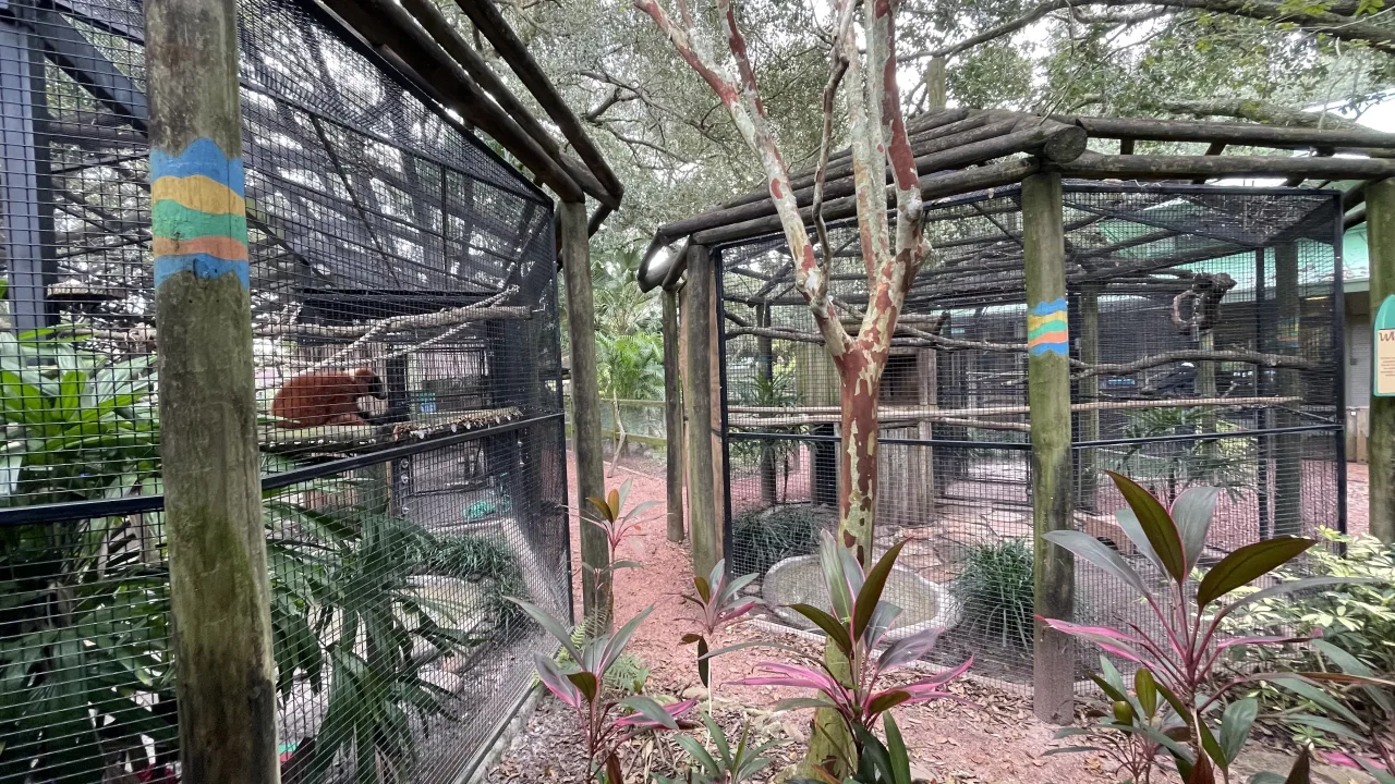 Keeper Talk: Animal Connections