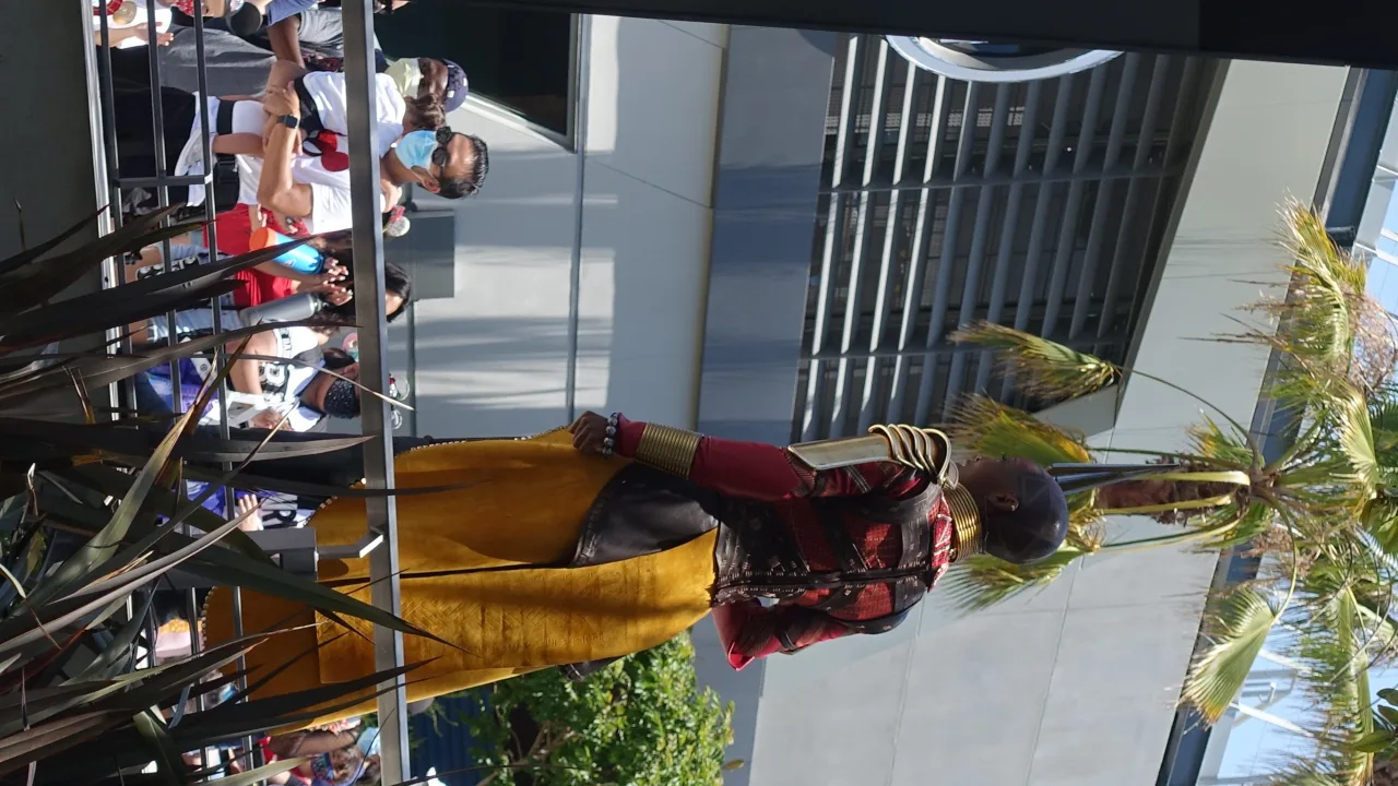 Warriors of Wakanda: The Disciplines of the Dora Milaje