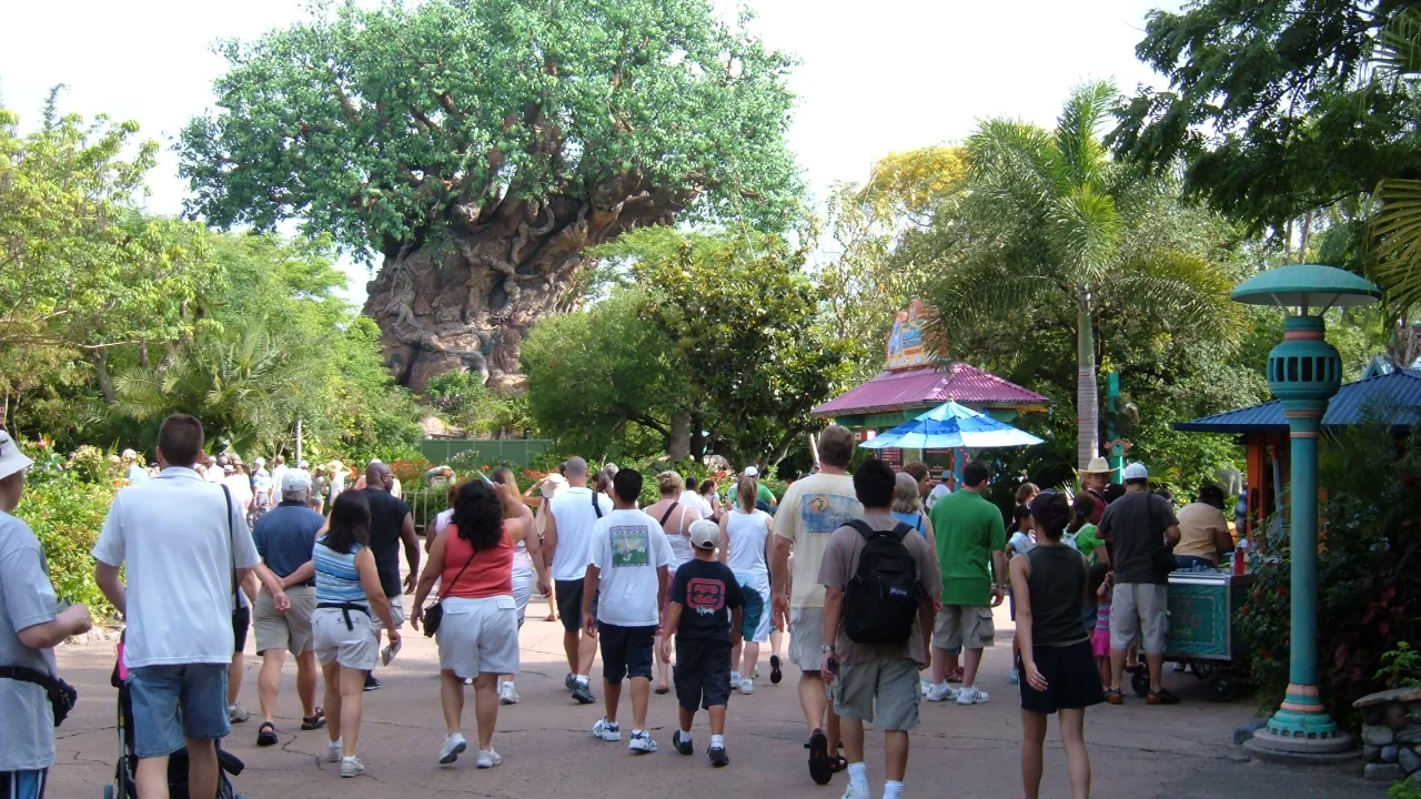 Disney's Animal Kingdom Theme Park