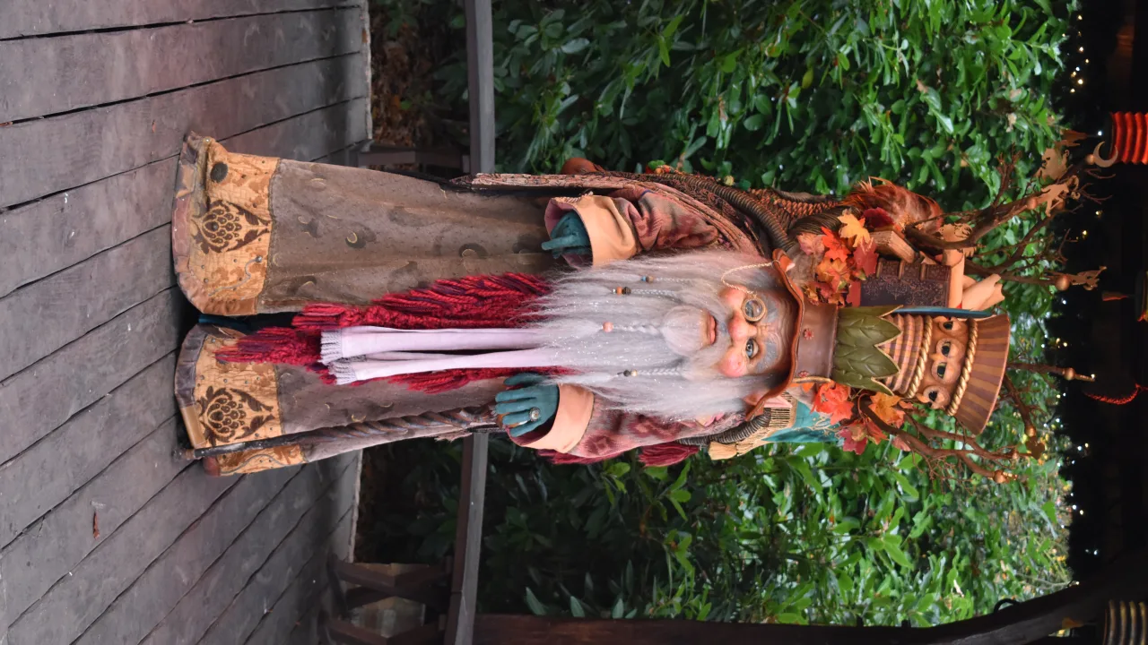 The Fairytale Collector