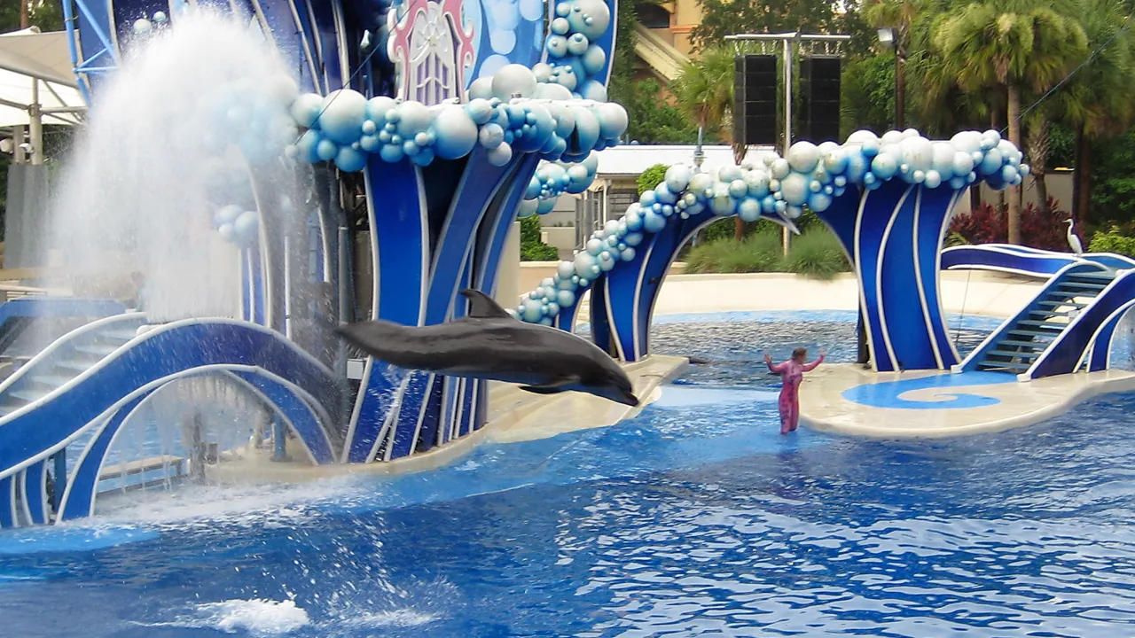 Keeper Talk at Dolphin Nursery