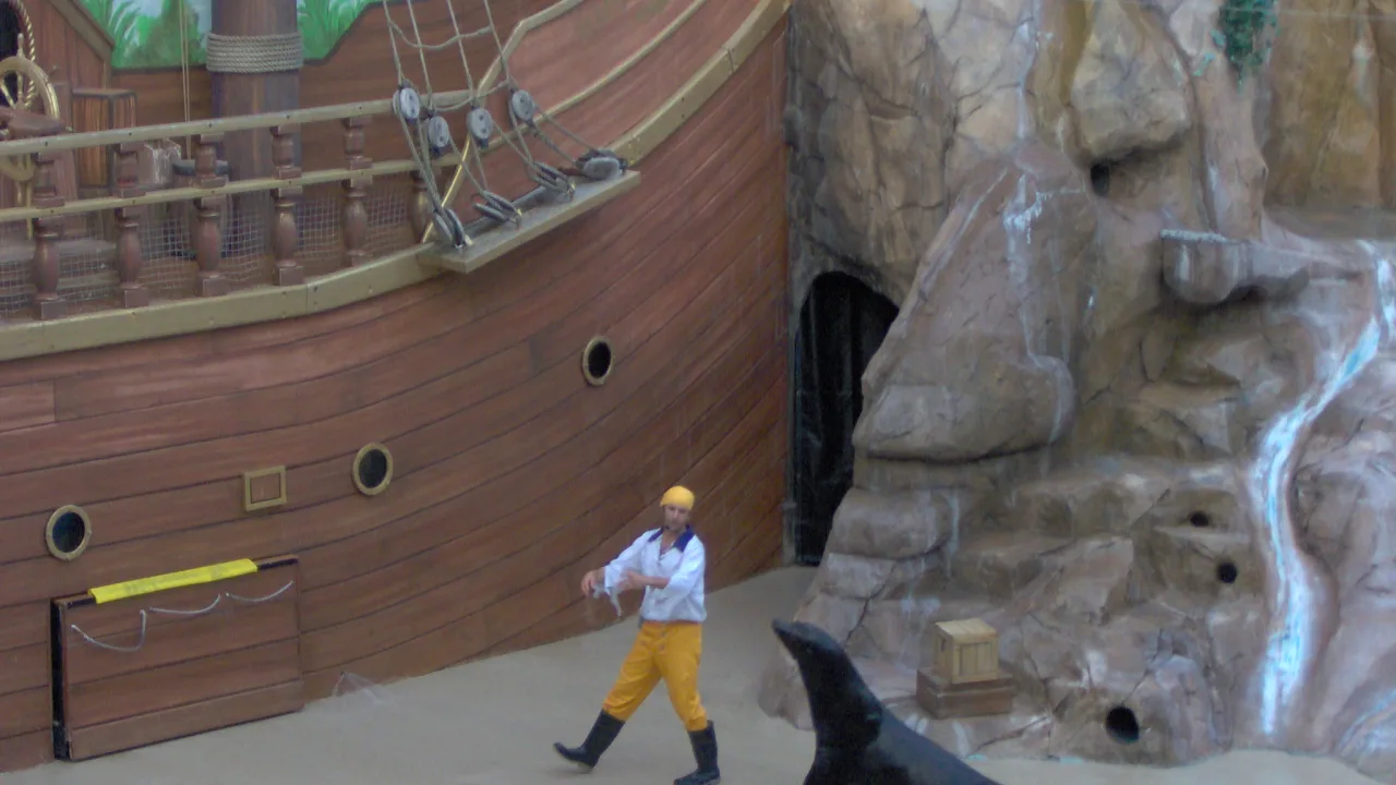Sea Lions: Flippers, Facts & Fun