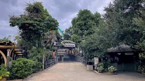 Busch Gardens Tampa