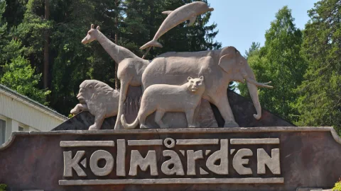Kolmården