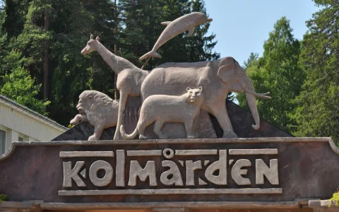 Foto av Kolmården
