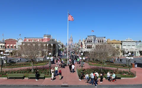 Photo of Magic Kingdom