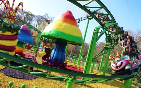 Photo of Paultons Park
