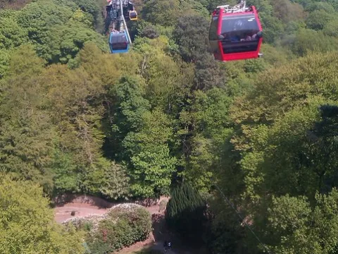 Foto 2 von Skyride to Towers St. (From Forbidden Valley)