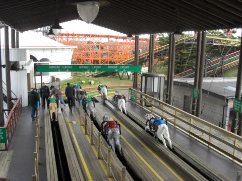 Zdjęcie 2 autorstwa Steeplechase