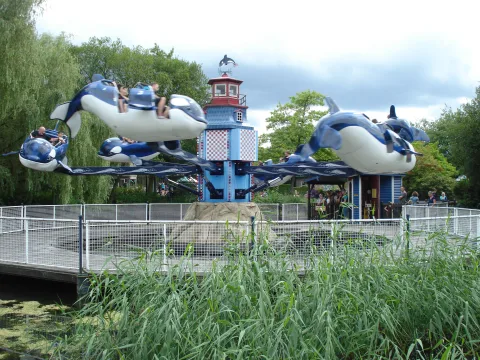 Foto 3 av Flying Orca