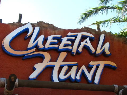 Zdjęcie 2 autorstwa Cheetah Hunt
