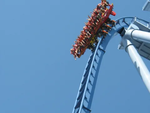 Zdjęcie 2 autorstwa Griffon