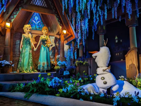Foto 3 af Frozen Ever After