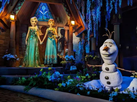 Foto 2 af Frozen Ever After