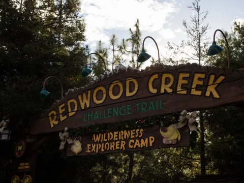 Foto 3 af Redwood Creek Challenge Trail