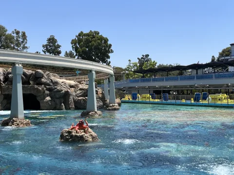Foto 2 af Finding Nemo Submarine Voyage