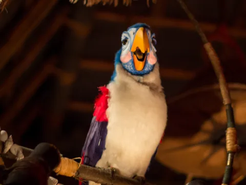 Zdjęcie 3 autorstwa Walt Disney's Enchanted Tiki Room