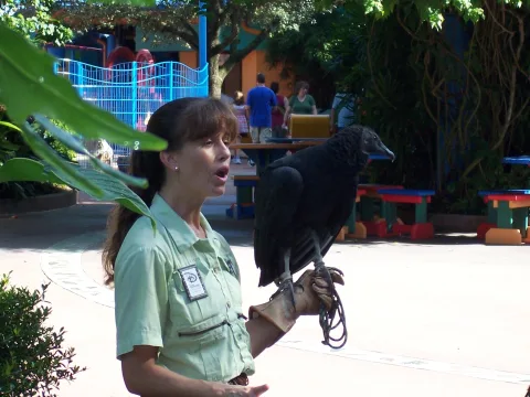 Photo 2 de Animal Care at Conservation Station