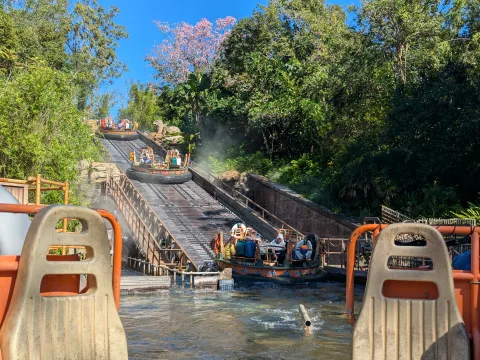 Zdjęcie 2 autorstwa Kali River Rapids