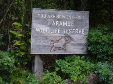 Photo 2 de Kilimanjaro Safaris
