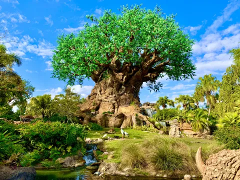 Photo 2 de Zootopia: Better Zoogether!