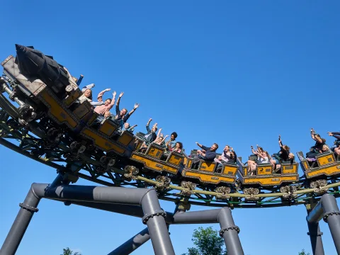 Foto 2 af T-Rex Family Coaster