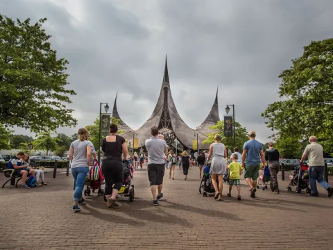 Zdjęcie 3 autorstwa Efteling