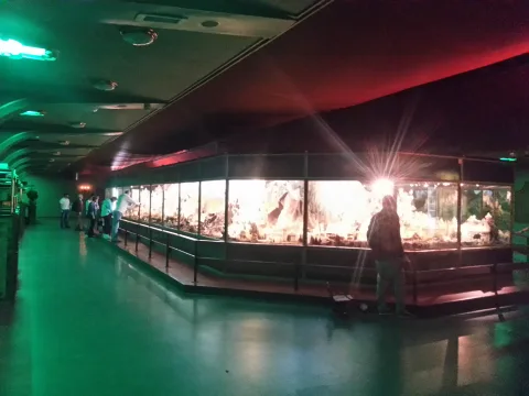 Foto 4 av Diorama