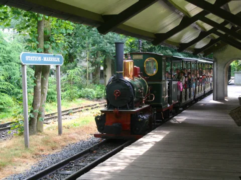 Foto 3 av Stoomtrein - Marerijk