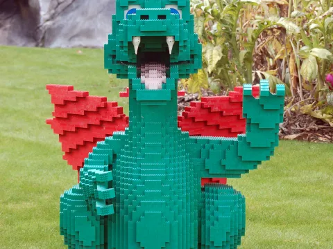 Foto 2 af The Dragon