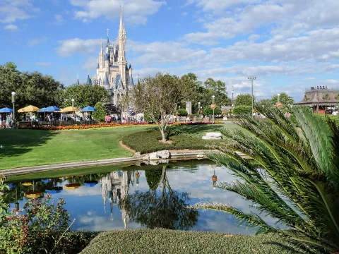 Zdjęcie 3 autorstwa Cinderella Castle