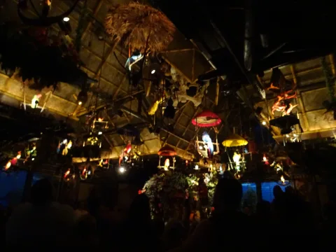 Foto 2 av Walt Disney's Enchanted Tiki Room