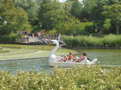 Zdjęcie 2 autorstwa The Pedal Boats