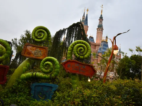Foto 2 av Alice in Wonderland Maze