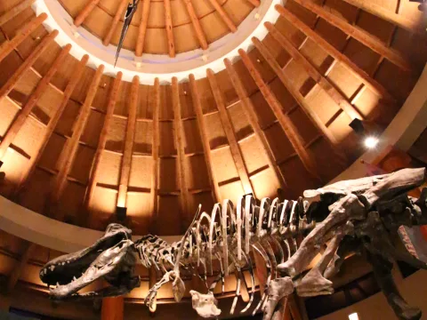Foto 2 af Jurassic Park Discovery Center