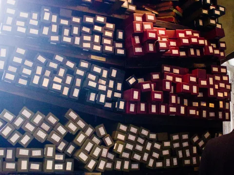 Foto 3 av Ollivanders™
