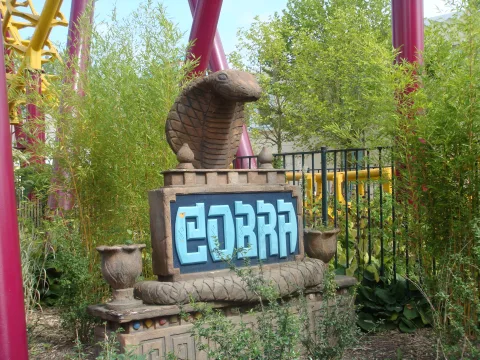Foto 2 af COBRA