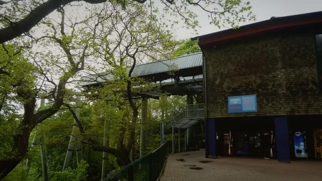 Skyride to Towers St. (From Forbidden Valley)