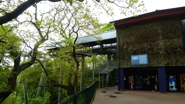 Skyride to Towers St. (From Forbidden Valley)
