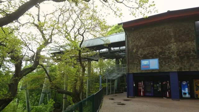 Skyride to Towers St. (From Forbidden Valley)