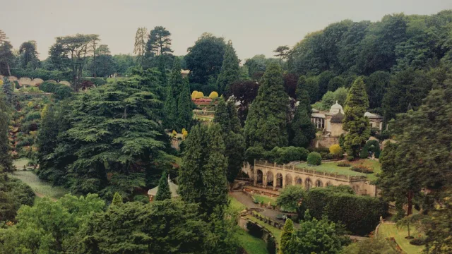 The Gardens
