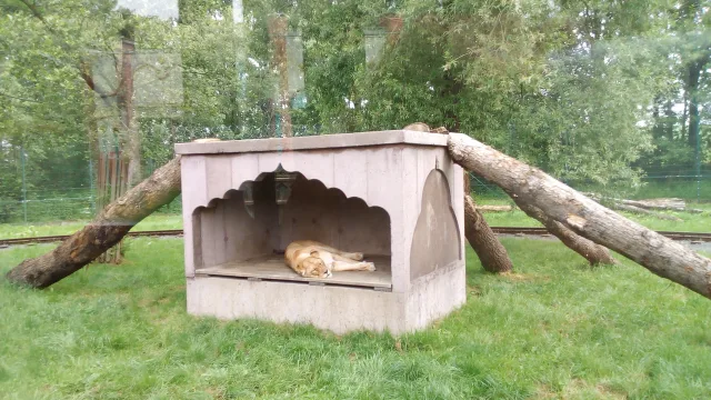 Bengal Express