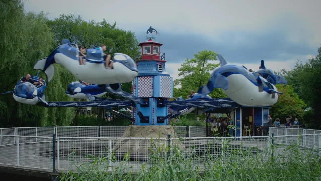 Flying Orca