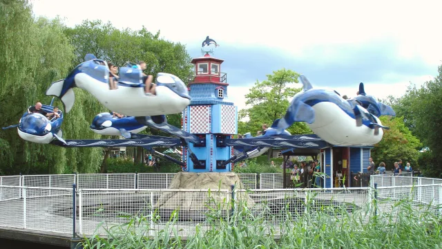 Flying Orca