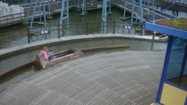 Wild Water Slide