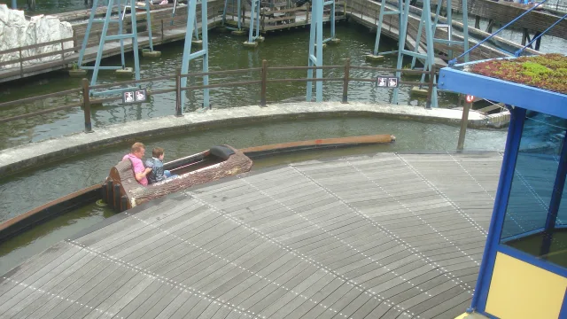 Wild Water Slide