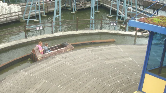 Wild Water Slide