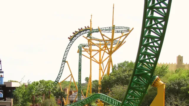 Cheetah Hunt