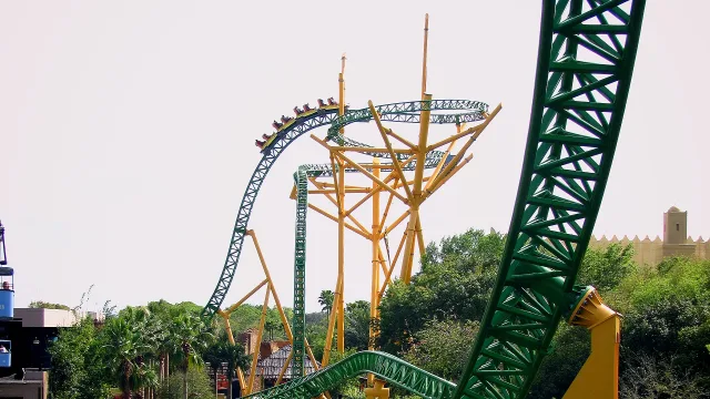 Cheetah Hunt